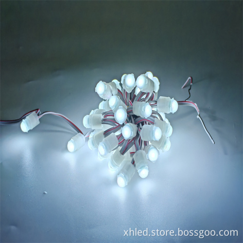 Factory Direct DC12V 9mm IP67 Waterproof LED Pixel Lights for Signboards and Christmas Tree Lighting